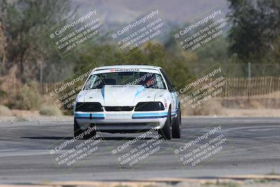 media/Oct-12-2025-Lucky Dog Racing (Sun) [[8adb5568ea]]/1-First Stint/6-Turns 2 and 1 Exit/